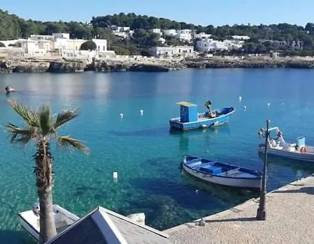Tatil Evi Aroha