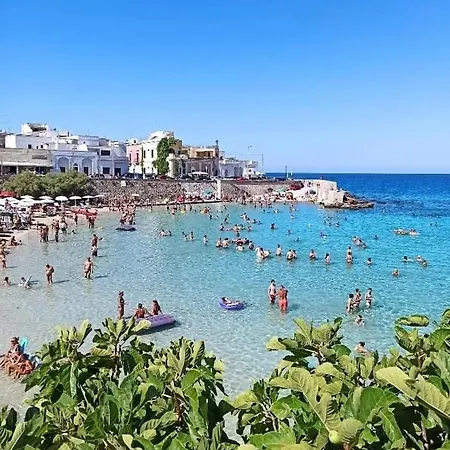 Aroha Nardò