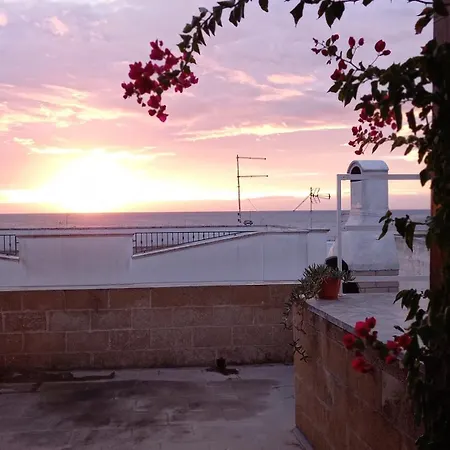 Tatil Evi Aroha